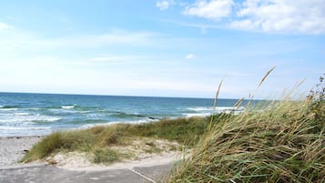 A coastal road with grassy dunes and the ocean in the background.