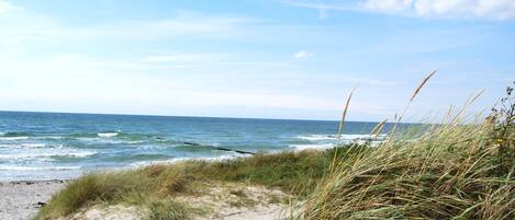 A coastal road with grassy dunes and the ocean in the background.