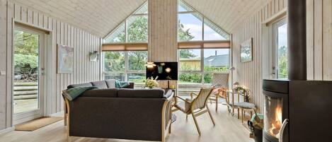 Smart-TV, Kamin, DVD-Player