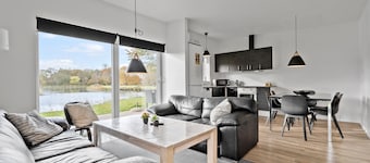 Pet friendly home in RingkĂžbing