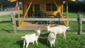 Una cabaña de madera con porche, mobiliario exterior y un área cercada con dos cabras.