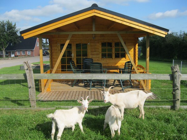 Imagen sin descripción, 1 de 25, botón