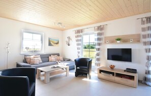 Fernseher, Kamin, DVD-Player