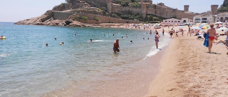 Vlak bij het strand, vissen