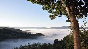A landscape view with a tree in the foreground, a valley, and mist-covered mountains in the distance.