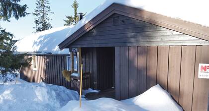 3 huoneen majoitus Sjusjøen