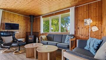 Télévision, cheminée