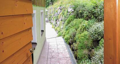 Ferienwohnung Muehlbach Hochk.