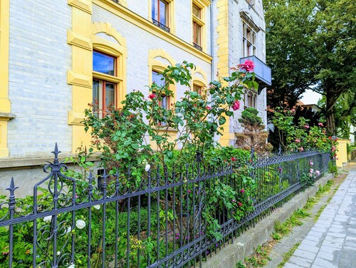 Ferienwohnung - Villa Eisenrose