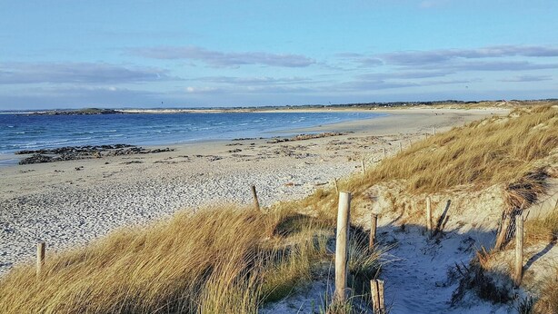 Ein Strand mit Kieselsteinen, grasbewachsenen Dünen und einem Holzzaun.