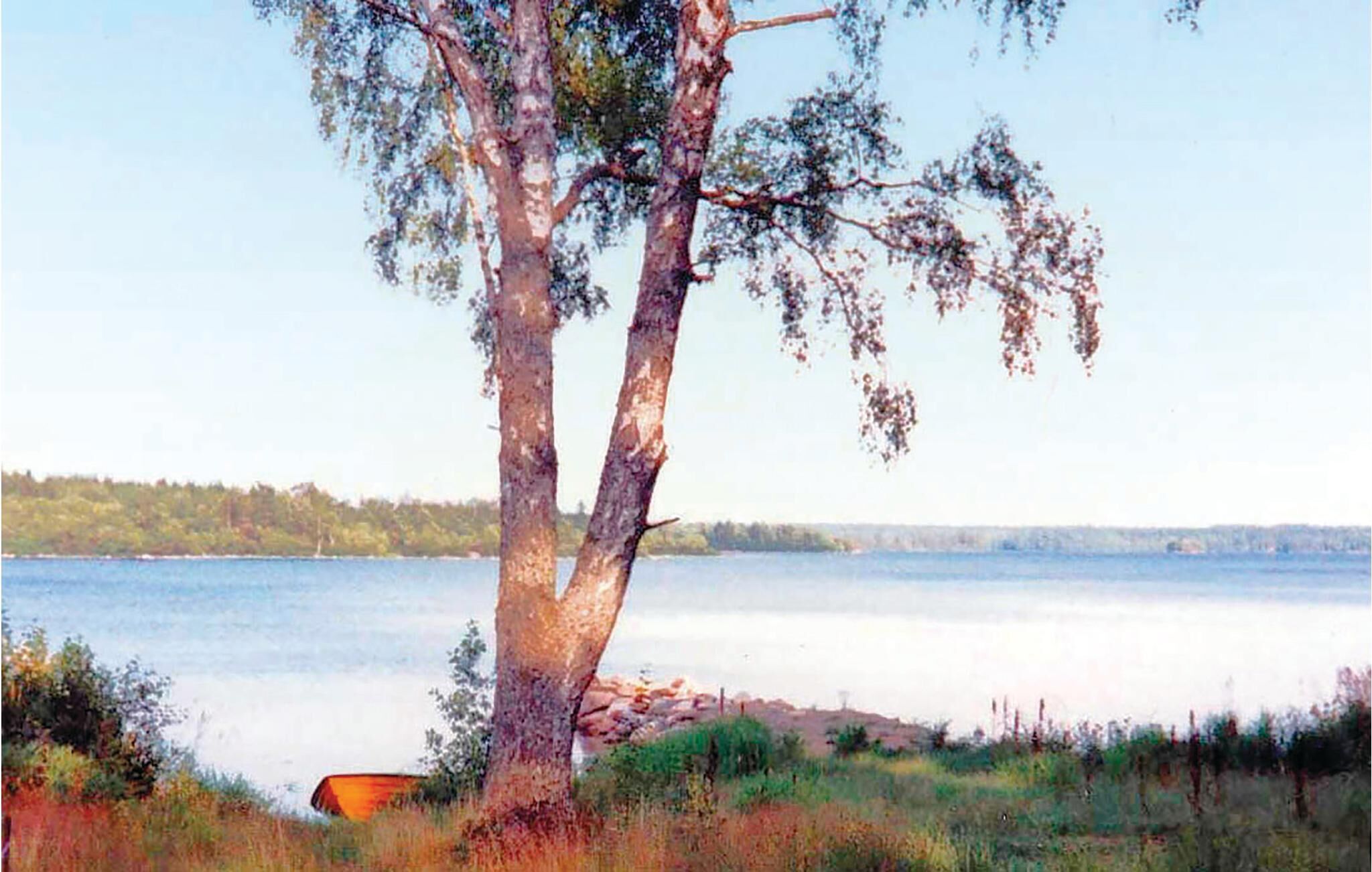 Un árbol junto a un lago, con vista despejada del agua y la orilla distante.