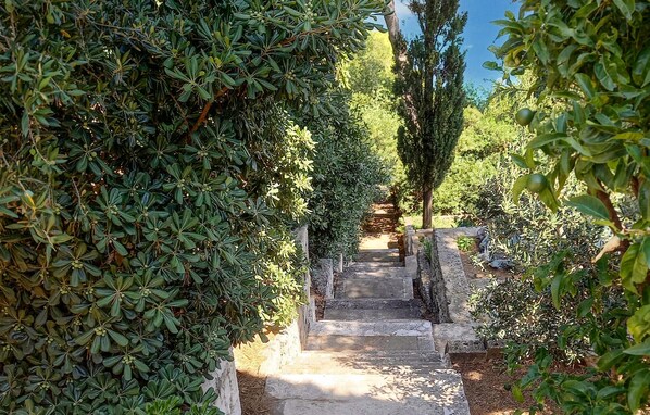 Una escalera de piedra que atraviesa un jardín exuberante con follaje denso a ambos lados.