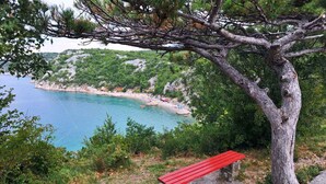 Une vue sur la côte, avec un banc, un arbre et une plage en arrière-plan.