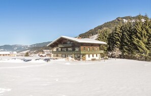 Exterior - gemuetliche Ferienwohnung (Flachau)