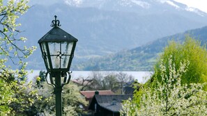 Unclassified image, 5 of 14, button