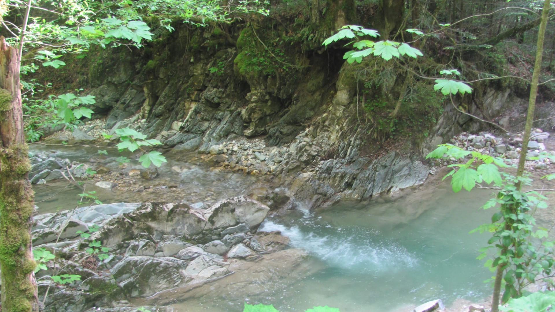 A rocky stream with moss-covered rocks and trees.