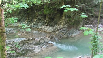 A rocky stream with moss-covered rocks and trees.