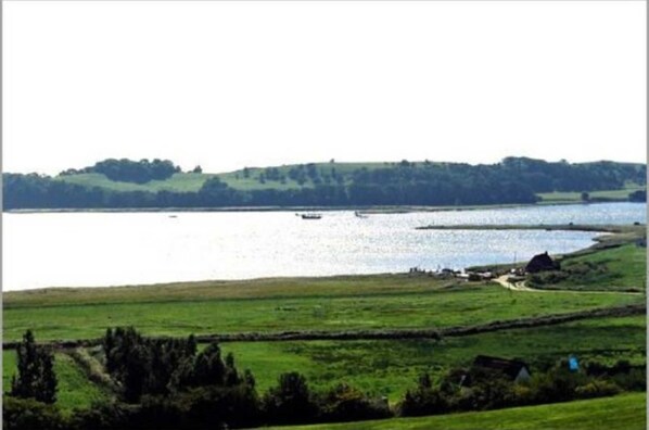 Unclassified image, 1 of 9, button