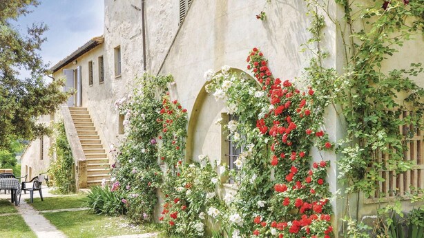 Un bâtiment doté d’une façade en pierre, d’un escalier et d’un jardin agrémenté de plantes à fleurs.