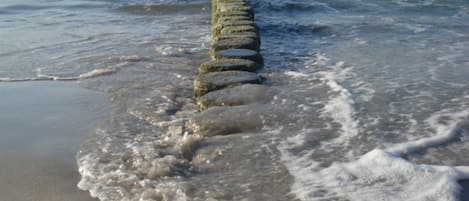 Nära stranden