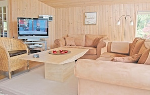 TV, fireplace, table tennis