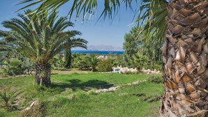 Un paisaje costero con palmeras y una vista despejada del mar.