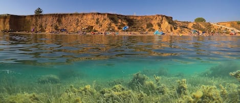 Guests can enjoy a serene lake with underwater vegetation and scenic rocky cliffs.