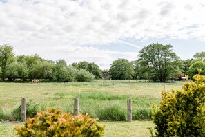 Unclassified image, 3 of 21, button