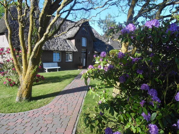 Unclassified image, 1 of 21, button