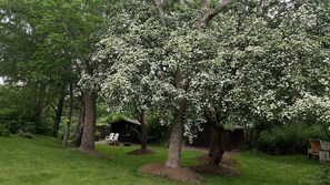 Unclassified image, 5 of 21, button