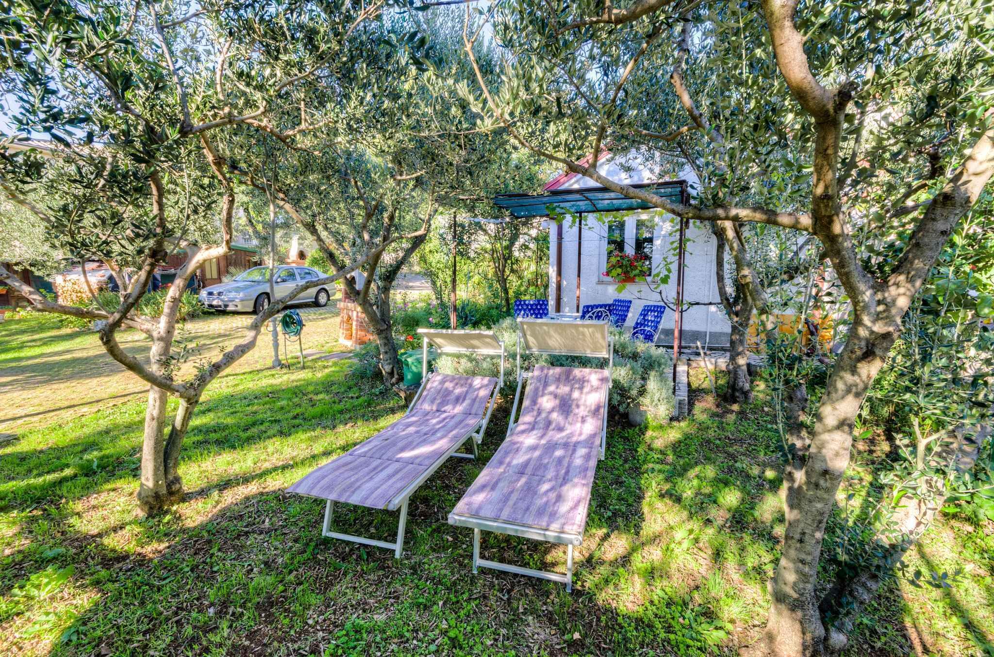 A garden with two wooden loungers, a white building with a red roof, and a car parked nearby.