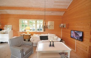 TV, fireplace, DVD player