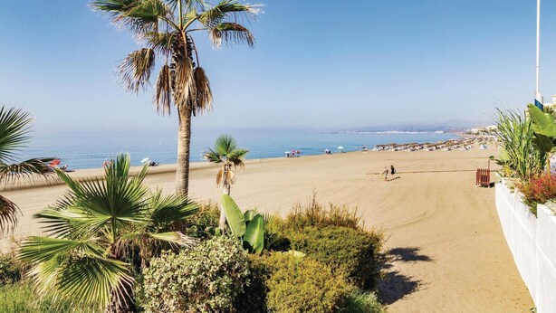 A beach with palm trees, a clear sky, and a view of the sea. - 3 bedroom cozy home in Torrox (Torrox)