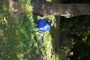 Immagine non classificata, 3 di 12, pulsante