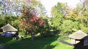 A grassy area with two thatched-roof huts, a tree with red leaves, and a fence. - FW4 - Rohrdachhus, Germany (Middelhagen)