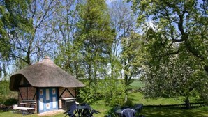 A thatched-roof structure with a blue door, surrounded by outdoor seating and greenery. - FW4 - Rohrdachhus, Germany (Middelhagen)