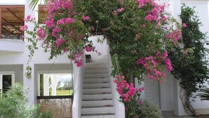 Un escalier blanc orné de fleurs roses qui grimpent le long du mur, entouré de verdure et bordé d’un bâtiment blanc.