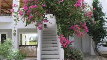 Eine weiße Treppe mit rosa Kletterpflanzen an der Wand, umgeben von viel Grün und einem weißen Gebäude.