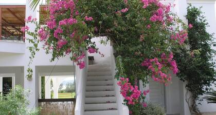 Soleiliosonne Haus Minos