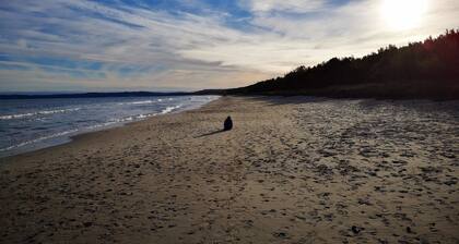 Ostseequartier Vorpommern FeWo Elfriede & Käthe