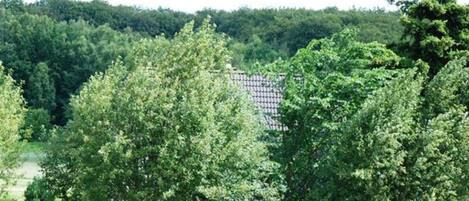 المنطقة المحيطة بالمنشأة