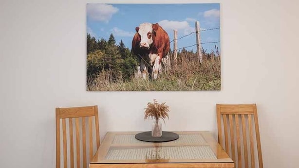 Una mesa de comedor con dos sillas de madera, un florero con plantas secas y un cuadro con una vaca en la pared.