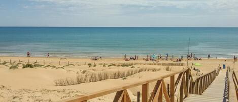 Beach nearby, fishing
