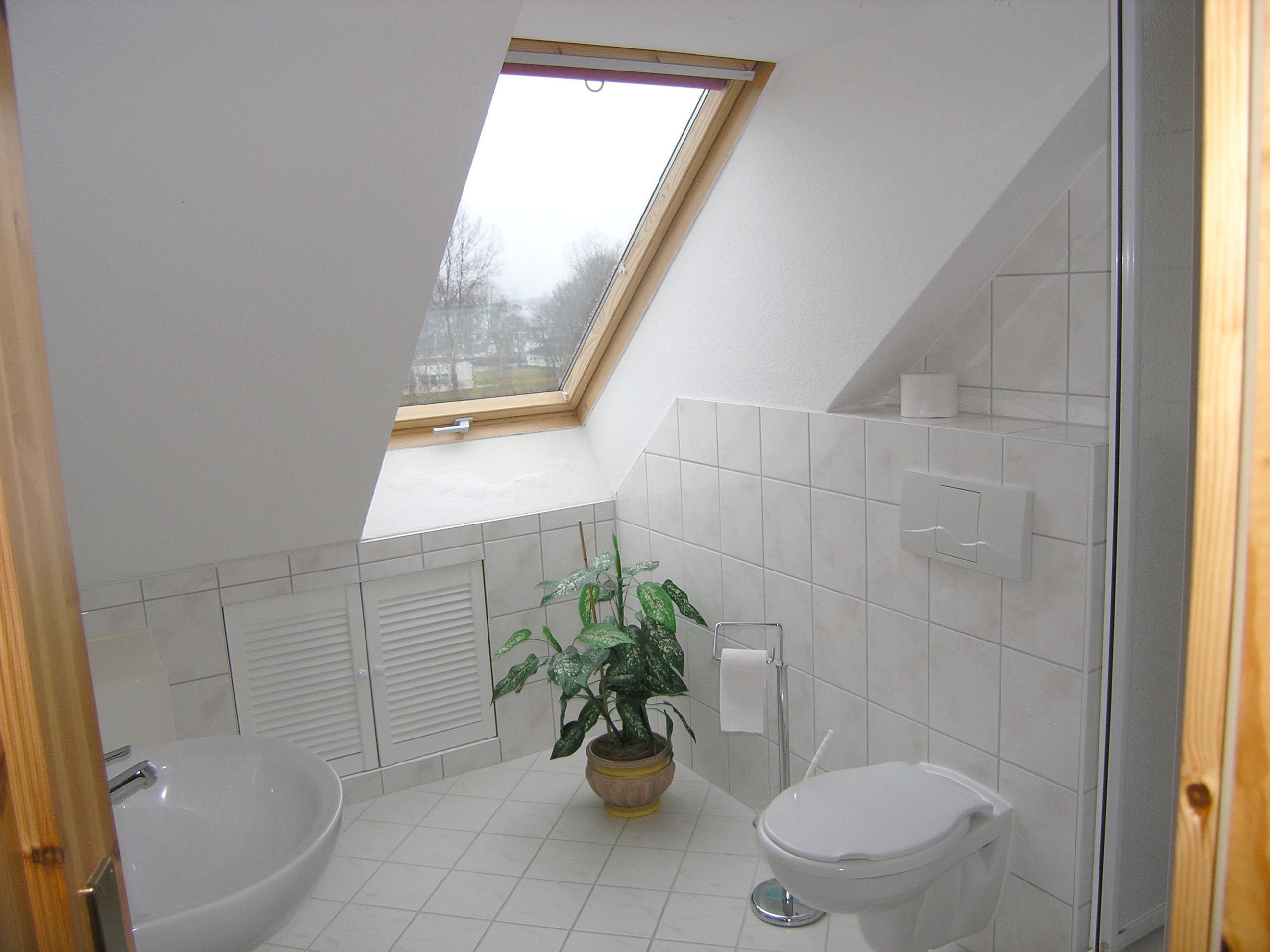 A bathroom with a skylight, a bathtub, a toilet, and a potted plant.
