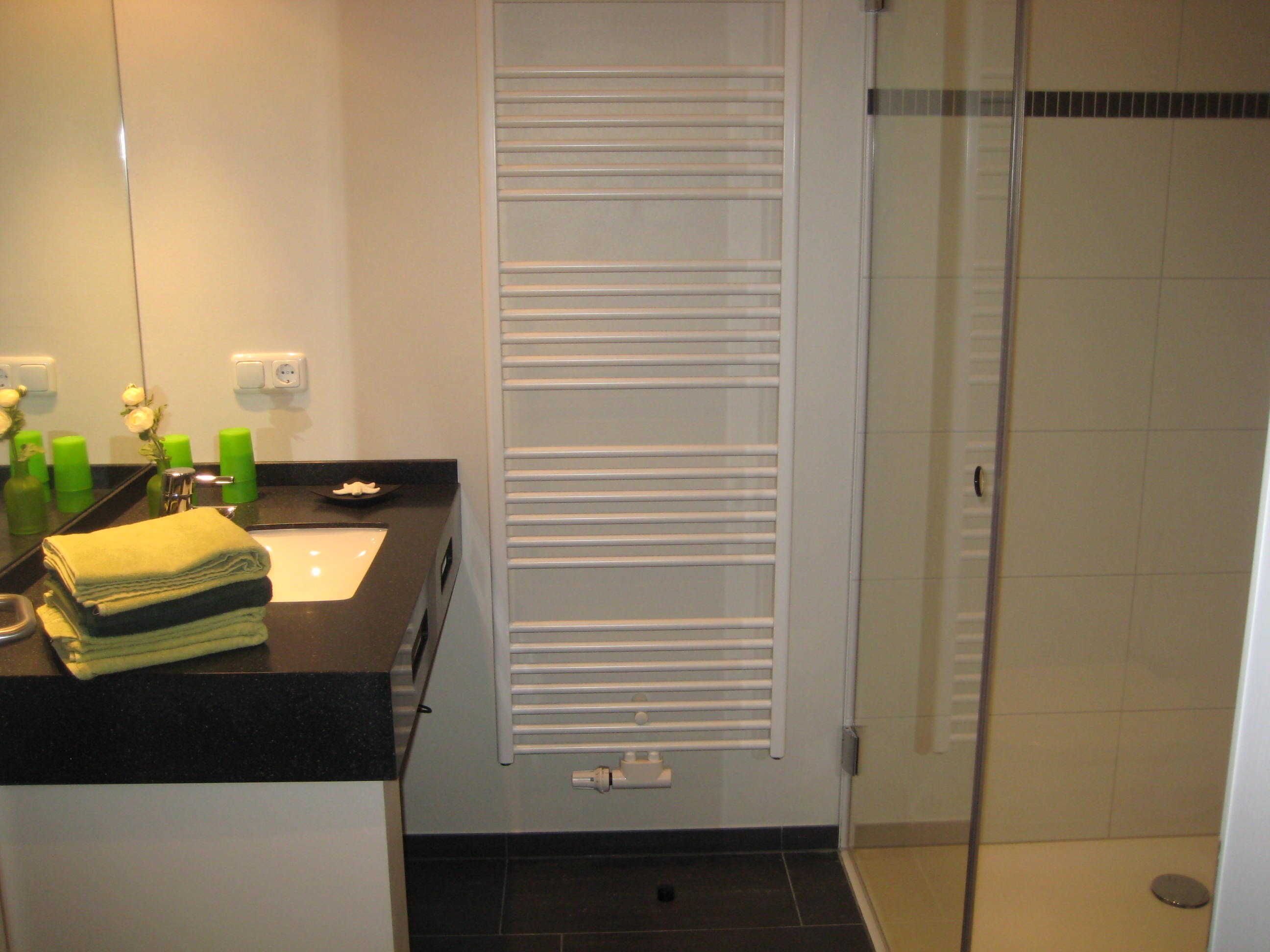 A bathroom with a black countertop, a white sink, and a glass shower enclosure.
