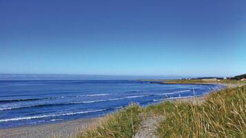 Nær stranden og fisking