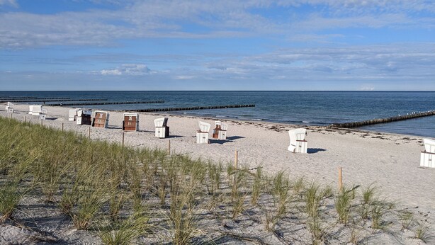 Une plage avec des chaises longues blanches et une structure en bois portant des numéros.