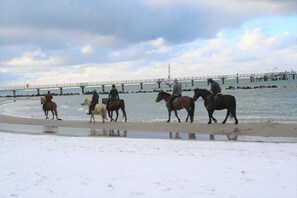 Een strand met paarden en ruiters, een pier op de achtergrond en een bewolkte lucht.