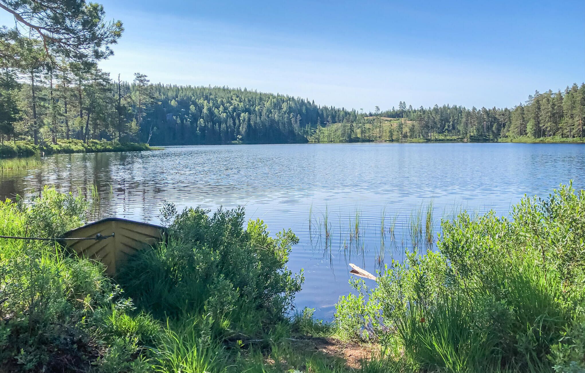Un lac paisible, entouré d’une forêt dense, avec un petit quai qui s’avance sur l’eau.