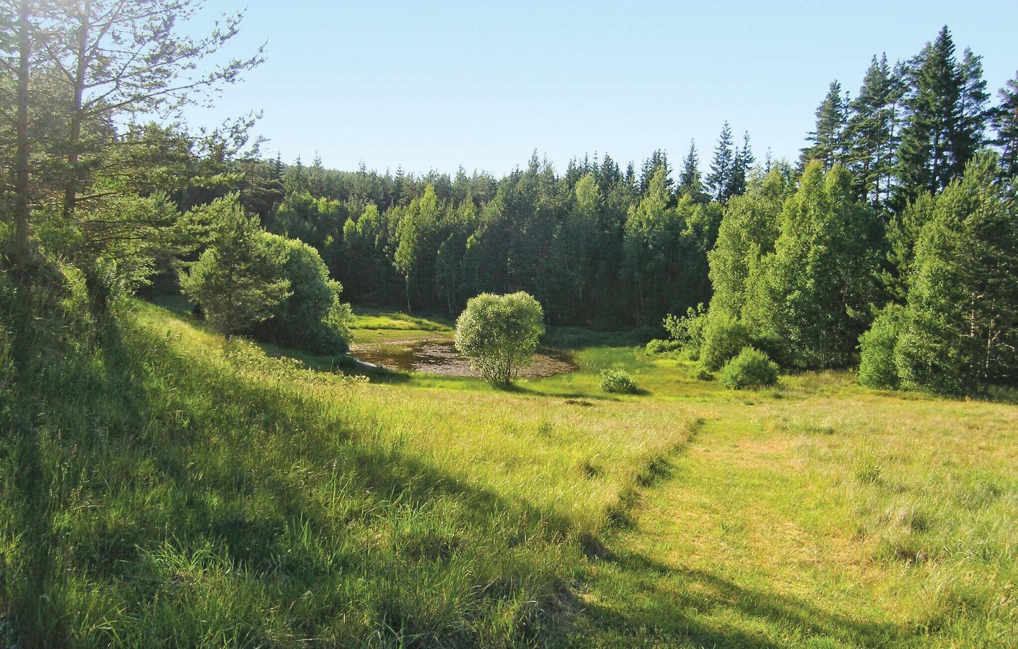 Un paysage naturel composé d’un champ herbeux, d’un petit étang et d’une forêt dense en arrière-plan.